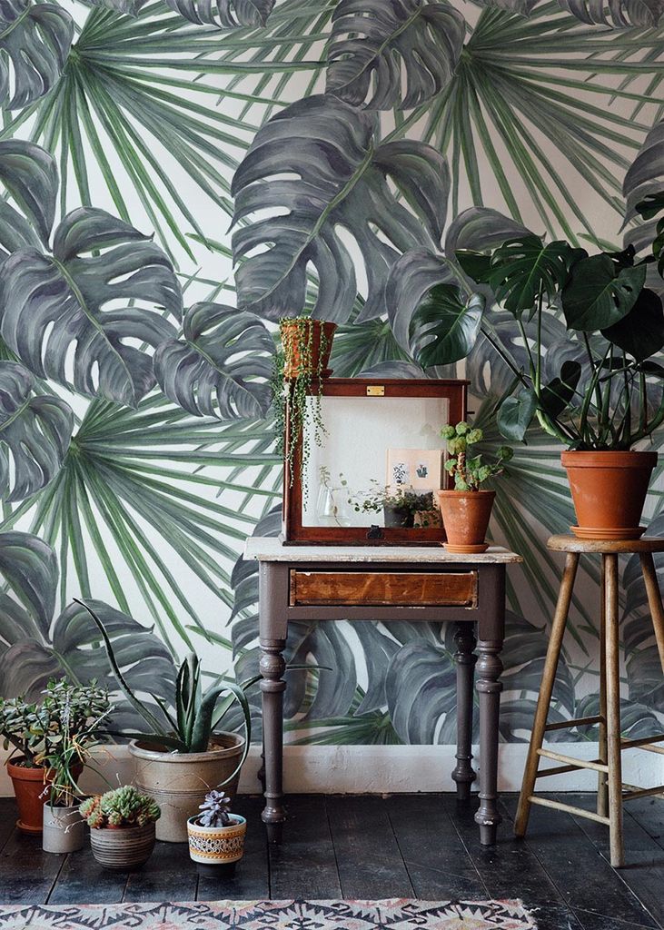 Coloray Fototapete 208x146 cm Latextapete Magicstick - Pflanzen botanisches Design