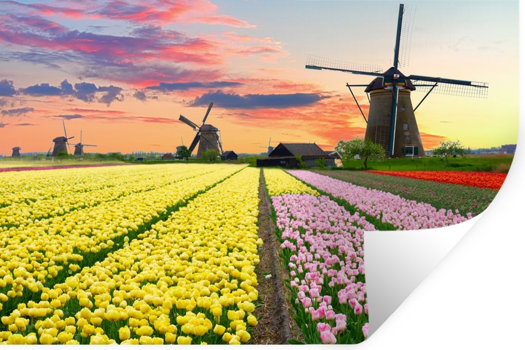 MuchoWow Wandtattoo Wandsticker Wandaufkleber Tulpen - Windmühle - Natur 120x80 cm Selbstklebend und Repositionierbar - Selbstklebend - Fototapeten