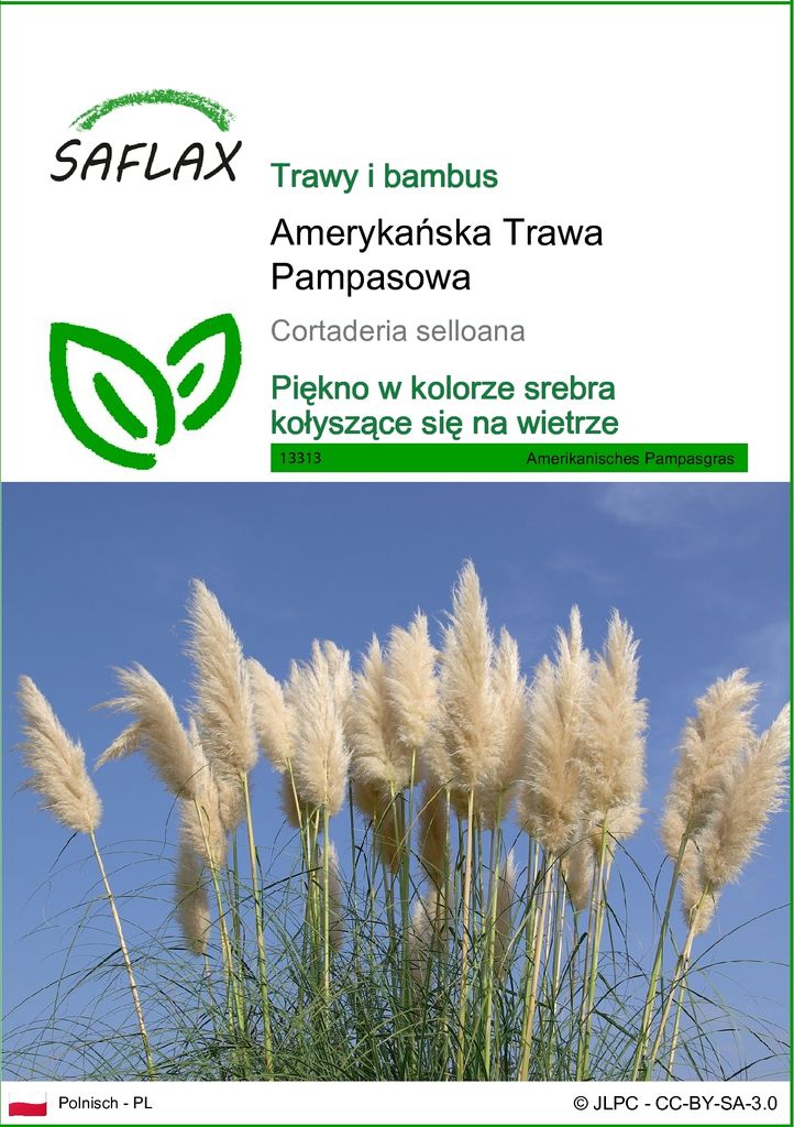 SAFLAX - Amerykańska Trawa Pampasowa - 200 Nasiona - Zdjęcie produktu 