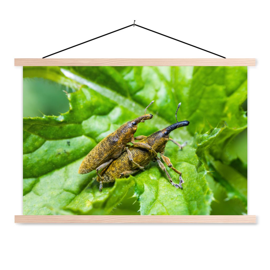 MuchoWow Textilposter Käfer - Blatt - Grün 120x80 cm mit holzfarbenen Rahmen - Aufhängeset