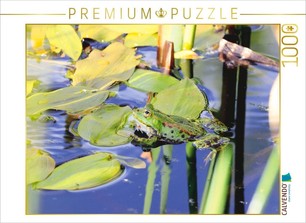 CALVENDO Puzzle Gelassener Teichfrosch 1000 Teile Puzzle quer | 1000 Teile Lege-Größe 64x48cm Foto-Puzzle für glückliche Stunden