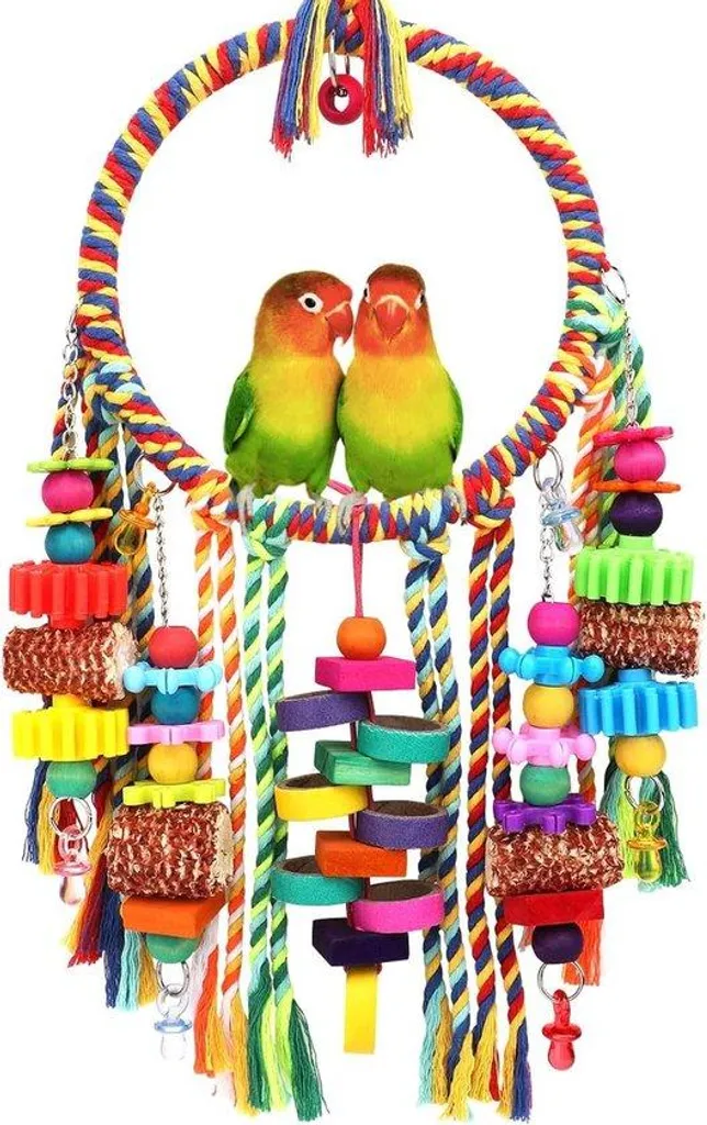 Jouets oiseaux bois et carton ultra résistants pour becs puissants