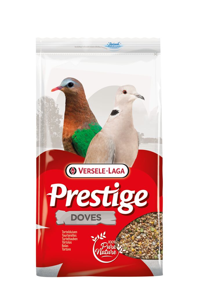 Prestige Tauben - Turteltauben - 4 kg