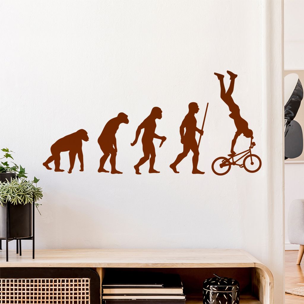 BMX Freestyle Evolution Wandtattoo Wandaufkleber Wall Sticker - Dekoration, Küche, Wohnzimmer, Schlafzimmer, Badezimmer
