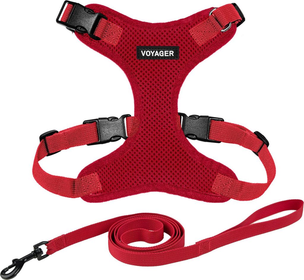 Voyager Step-in Lock Katzengeschirr und reflektierende Katzenleine mit Neoprengriff by Best Pet Supplies - Unterstützt kleine, mittelgroße und gr...