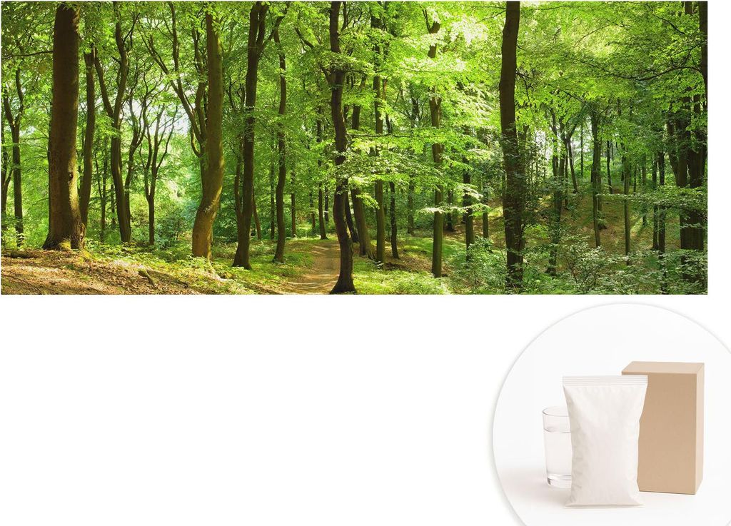 Fototapete - Wandbilder für Wohnzimmer - 208x146 cm - Dekorative Wandfolie - Modernes Design für Wanddekoration - Tapeten für Innenräume - Nat...