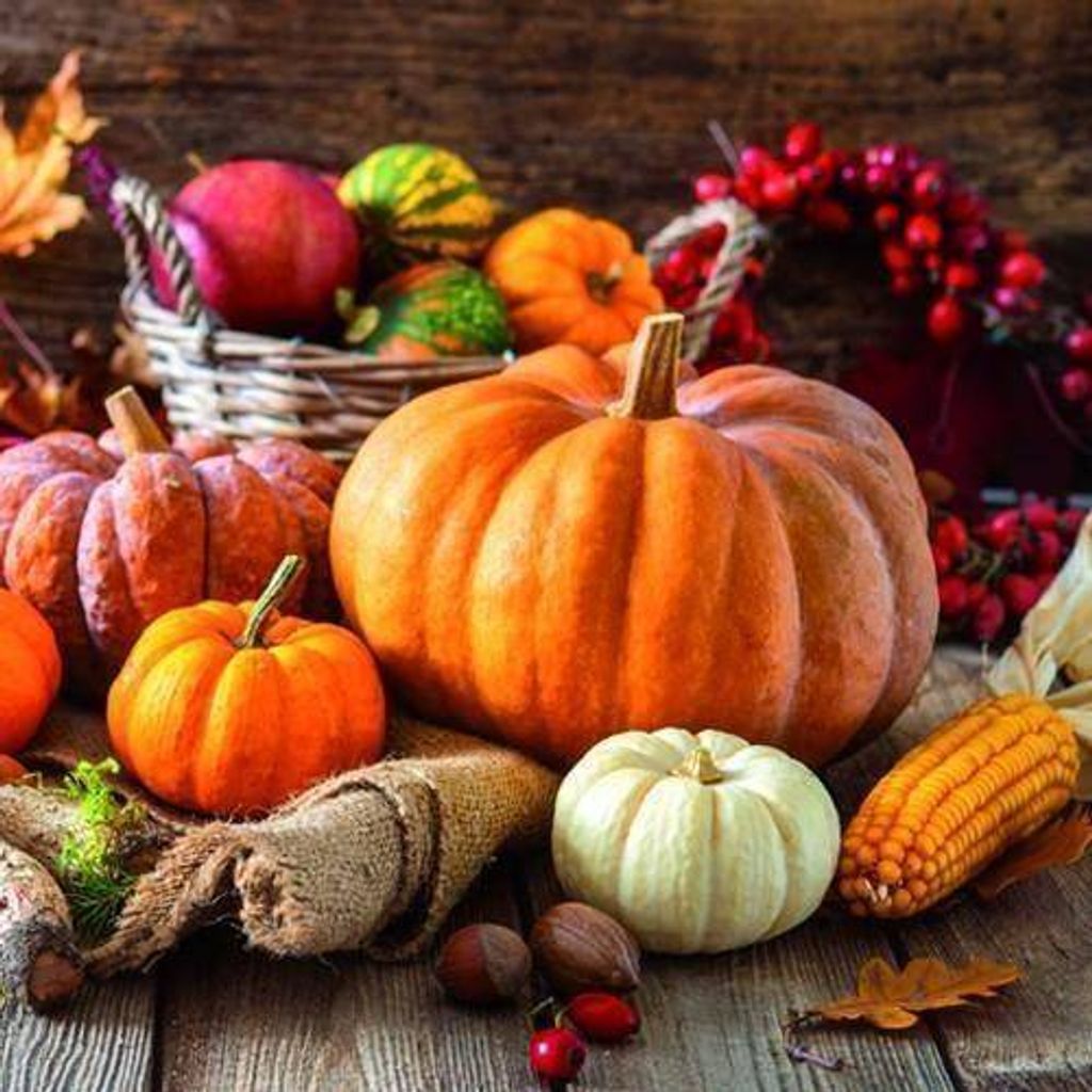 20 Servietten Thanksgiving Still Life - Ernte von Kürbisse Produktbild 