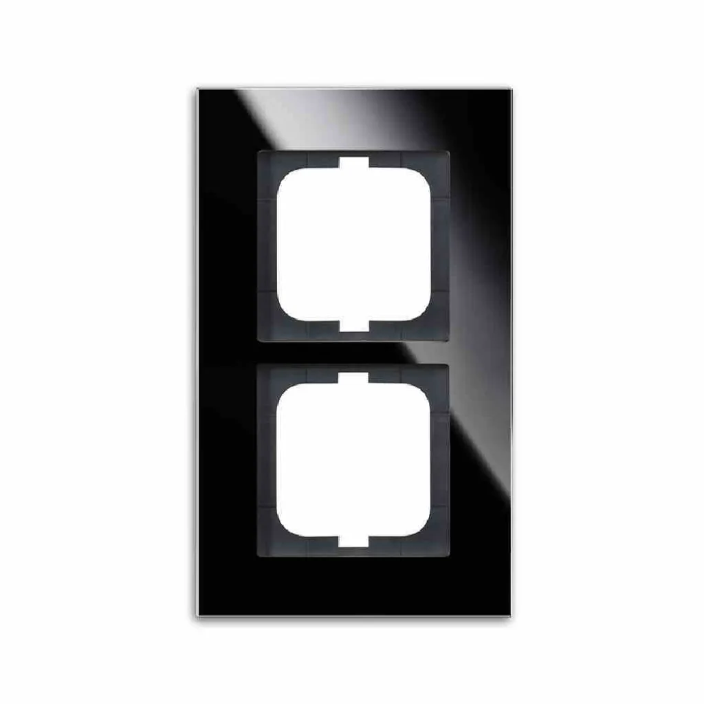 Plaque Double Noire Busch-Jaeger 1722-825 : Finition Murale Impeccable