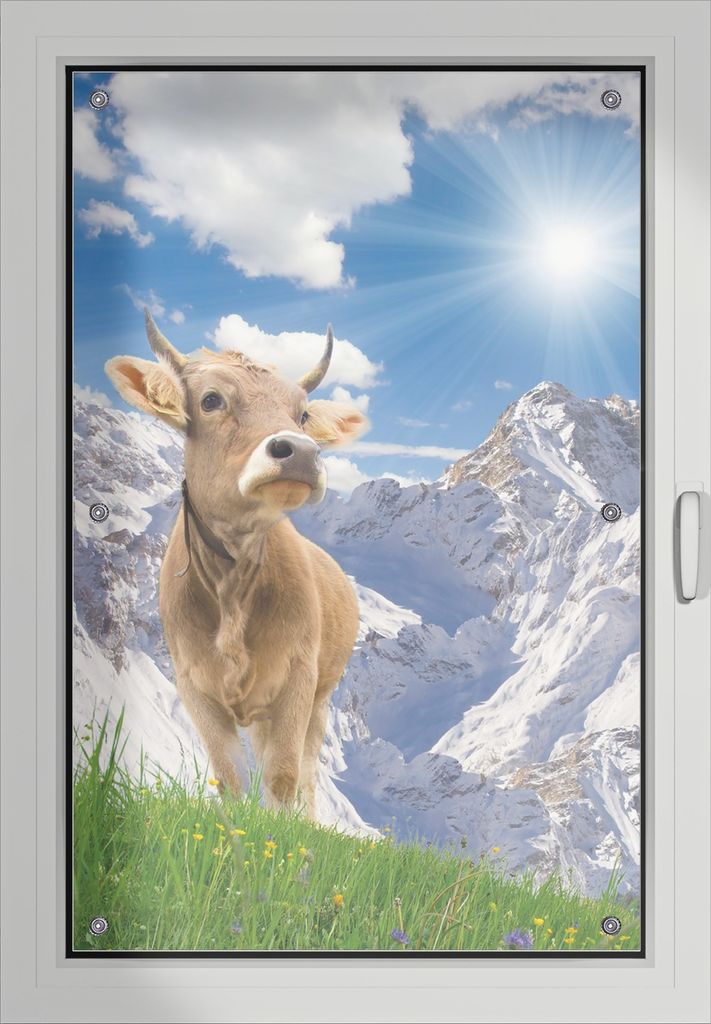 Wallario Lichtschutzbild, Dekorativer Sichtschutz Sonnenschutz 60 x 93 cm mit Motiv: Kuh im Sonnenschein in den Alpen - Verdunklung ohne Bohren