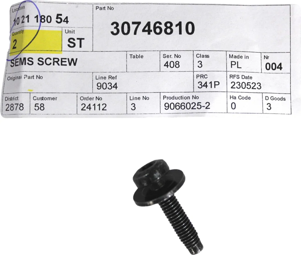 Vite Originale Volvo 30746810 M6x25 per Proiettori - Ricambio OE Garantito