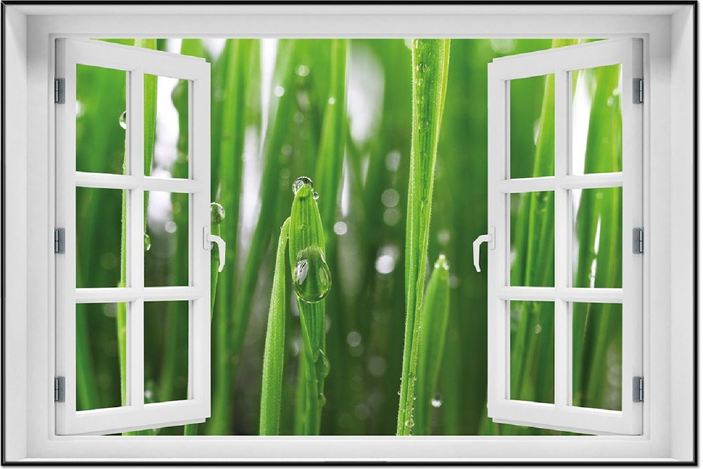Wallario Wandbild mit Fenster-Illusion: Wassertropfen an Grashalmen, Größe: 61 x 91,5 cm, Poster mit schwarzem Aluminiumrahmen