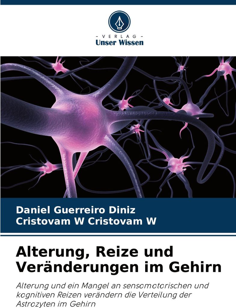 Alterung, Reize und Veränderungen im Gehirn