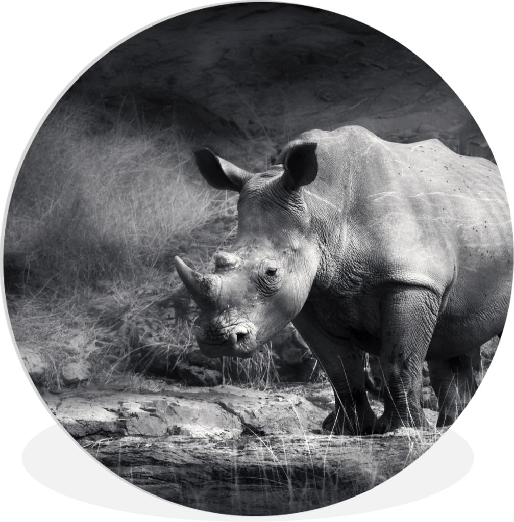 MuchoWow Rundes Wandbild - Runde Bilder Rhinozeros - Natur - Gras - Schwarz - Weiß Ø 60 cm Kreis Wanddekoration Kunststoff - Wandkreis - Wandsc...
