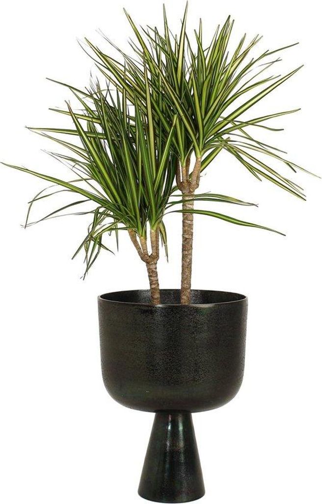 Wants&Needs Aluminium Blumentopf Schwarz 29 x 29 x 39 cm für Pflanzen im Innen- und Außenbereich