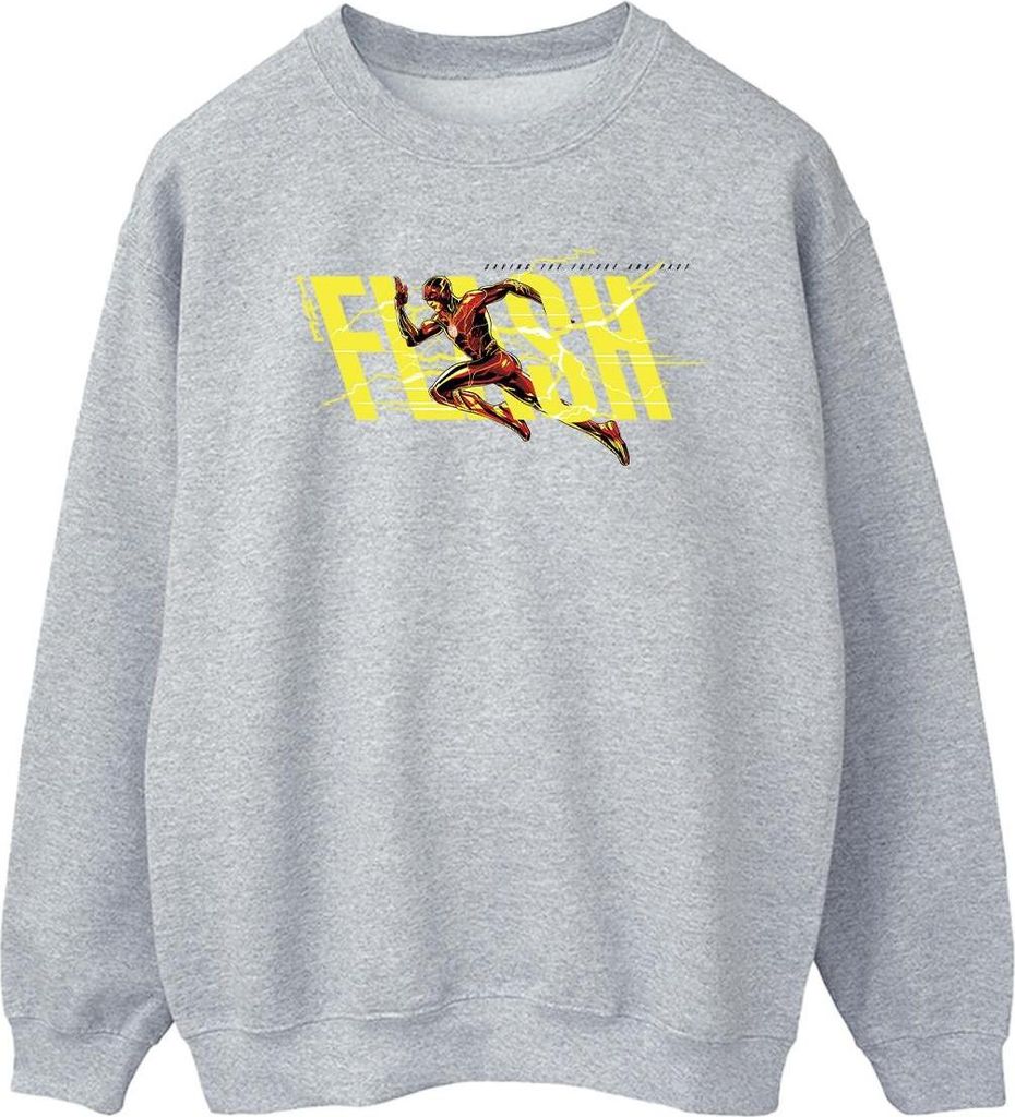 DC Comics - Sweatshirt für Herren BI47263 (S) (Grau)