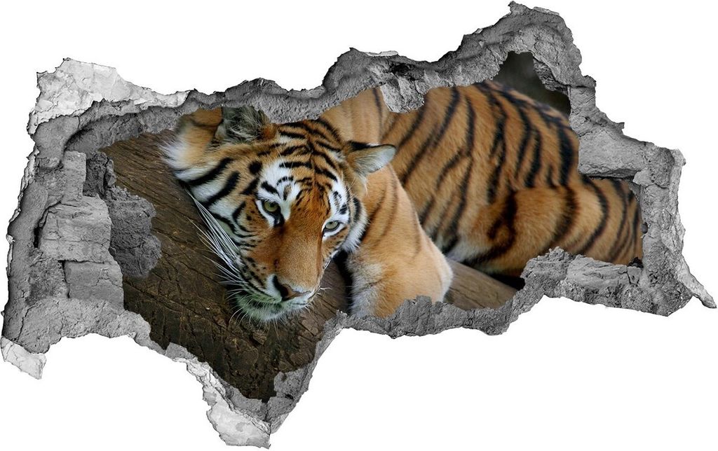 Selbstklebender Loch-3D-Aufkleber 95x73 cm Tiger auf einem Baum