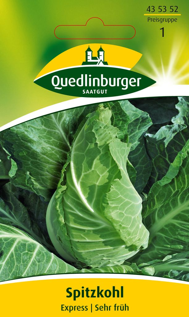 Spitzkohl 'Express' Quedlinburger Gemüsesamen Produktbild 
