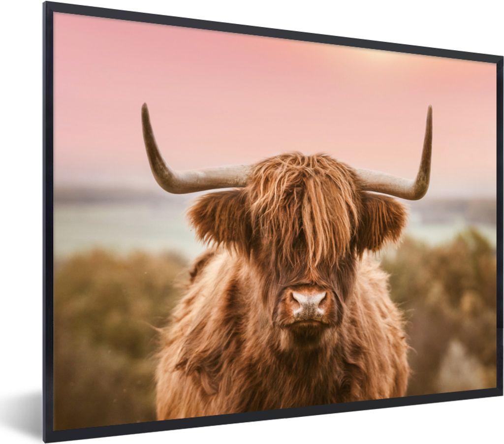 MuchoWow Gerahmtes Poster Schottischer Highlander - Kuh - Horizont 80x60 cm - Poster mit Schwarzem Bilderrahmen Wandposter Rahmen Foto Bilder - S...
