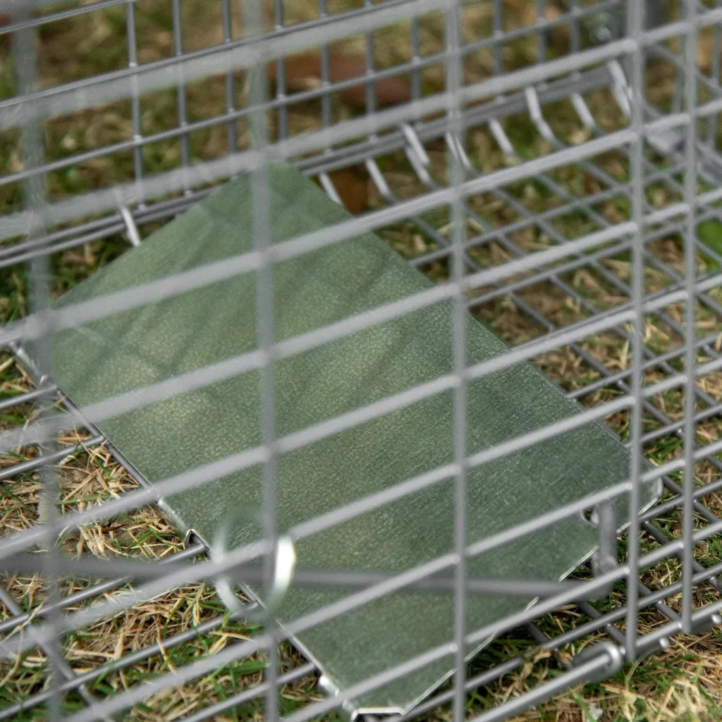 Piège à Renard et Chat Errant : Cage de Capture pour Jardin et Verger - 9