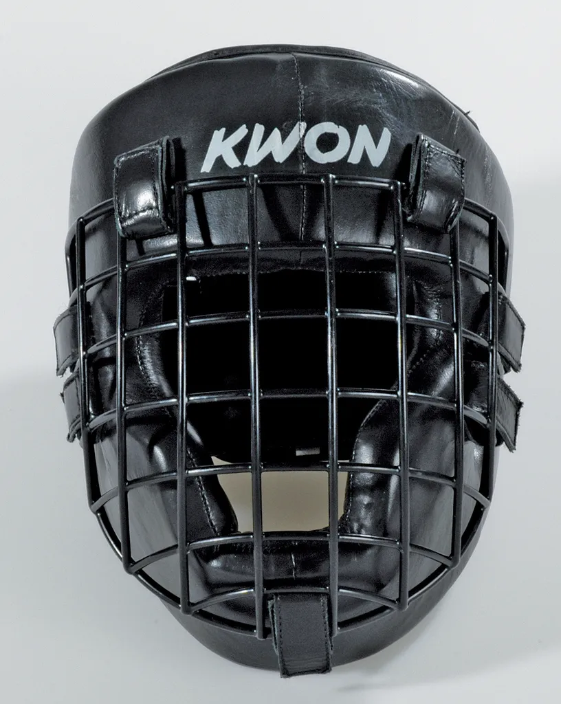 Évitez les blessures faciales : Protection de tête grille fer noire M