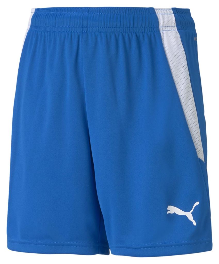Pantalon Puma Teamliga 70493102 Image du produit 