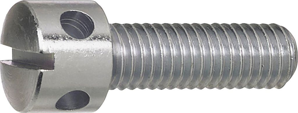 Kreuzlochschrauben Gewindeschrauben mit Schlitz ø M6x20 mm DIN404 Stahl verzinkt