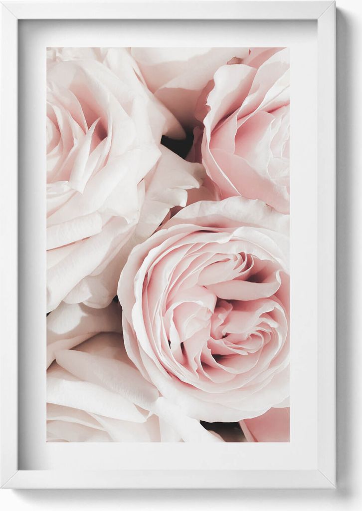 Zartrosa Blumen, zarte Rosen– Wandbild mit Rahmen – Gerahmtes Bild – Wanddekoration – 40x60 cm – Weiß