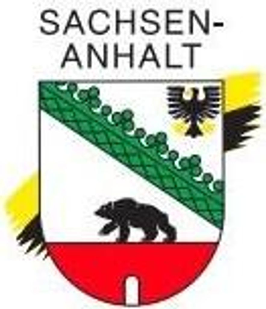 Bügeltransfer für Ihre Kleidung oder Maske - schnell und einfach - SACHSEN-ANHALT - 406109