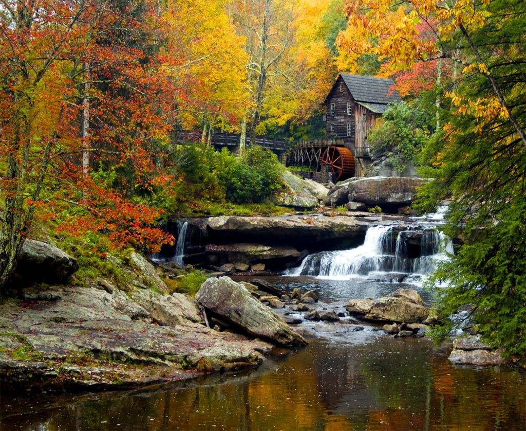 Sanders & Sanders Fototapete bewaldete Landschaft Grün, Gelb und Orange 375 x 270 cm