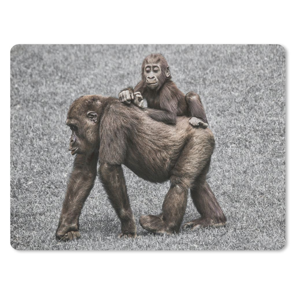 MuchoWow® Mauspad Mousepad Affen - Landschaft - Mantel Produktbild 