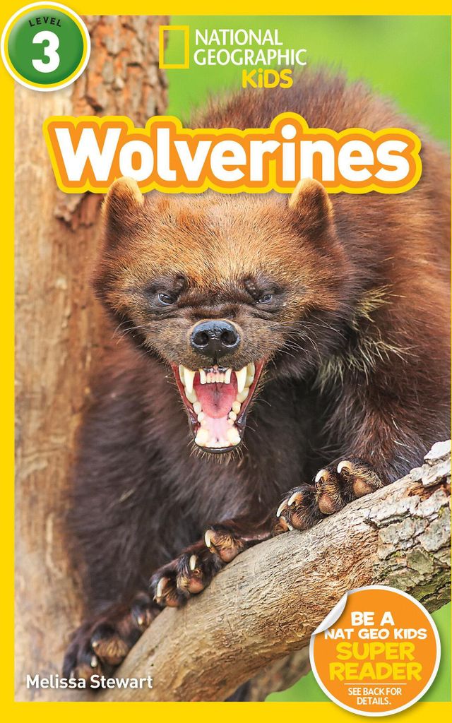 Wolverines (National Geographic Kids Readers, Level 3)