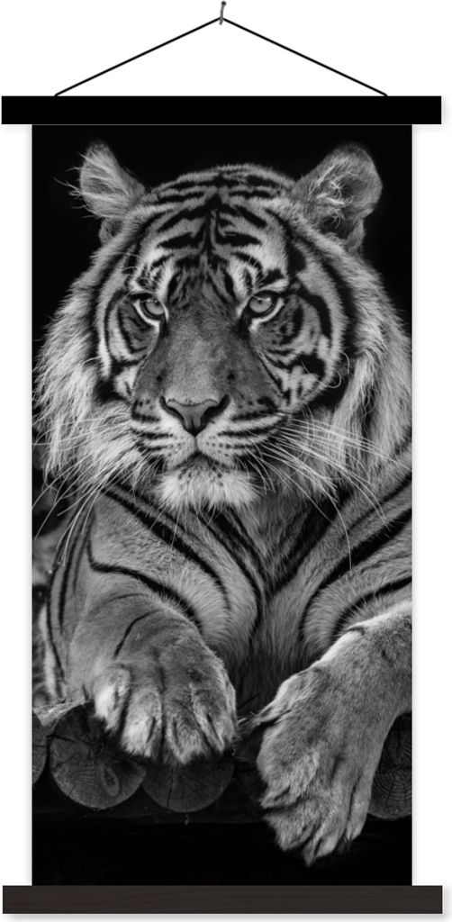 MuchoWow Textilposter Sumatra-Tiger auf schwarzem Hintergrund 90x180 cm mit schwarzem Rahmen - Dekoration Wohnzimmer
