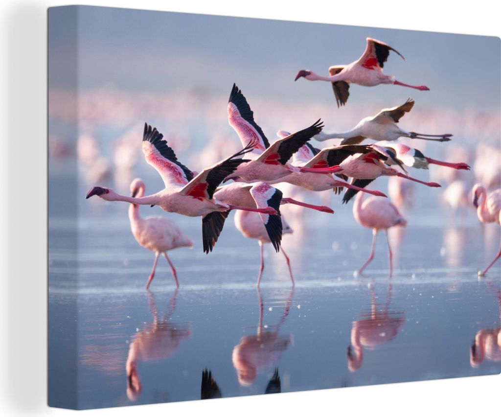 OneMillionCanvasses - Leinwandbilder - 150x100 cm, Flamingo - Vogel - Wasser - Rosa, Wandbilder Kunstdruck Wanddekoration - Foto auf Leinwand - G...