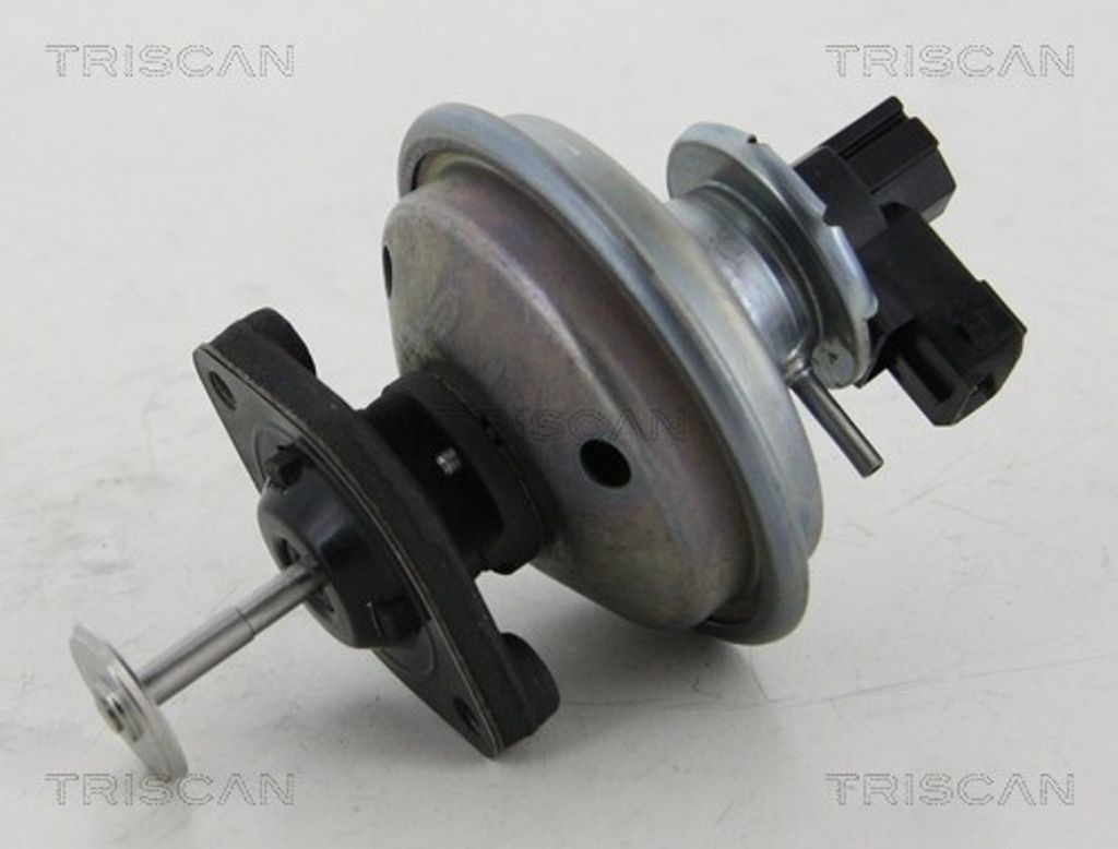 TRISCAN 8813 11002 AGR-Ventil mit Dichtungen für BMW 3 Touring (E91) Abgasrückführungsventil