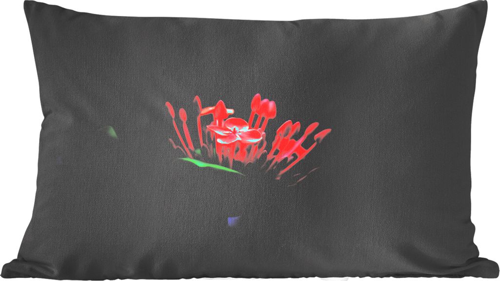 MuchoWow Zierkissen Sofakissen Wohnzimmer Dekokissen 50x30 cm Ein Foto einer tropischen Blume auf schwarzem Hintergrund - Wohnzimmerdekoration - ...