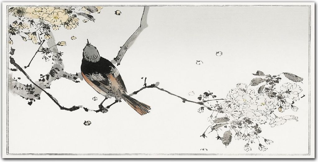 Coloray Bild aus Leinwand 140x70 Leinwand Dekoration - Knoten Tiere Vogel