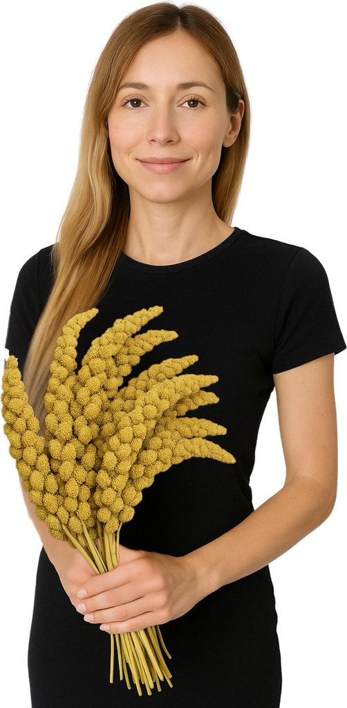 JR FARM Spray Millet Yellow - gelbe Hirse in Kolben 500g