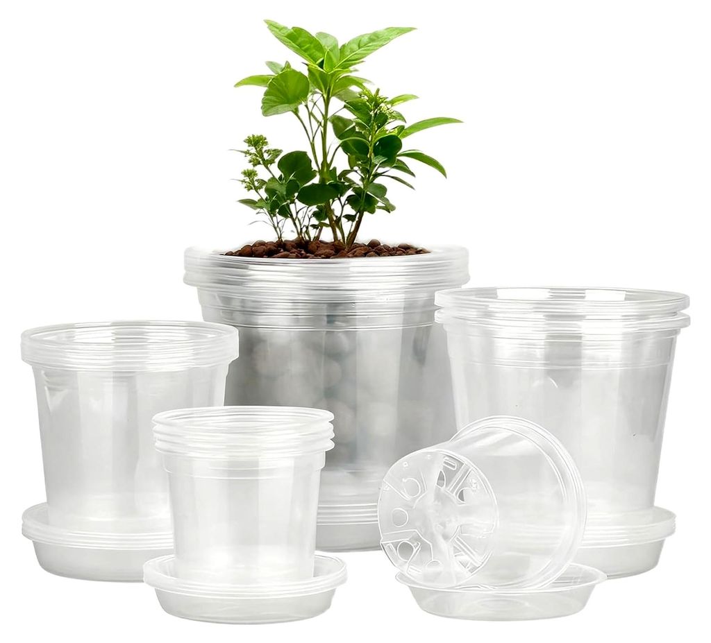 Transparente Anzuchttöpfe, 20 Stück mit Entwässerung und Untersetzern - Für Gemüse, Tomaten, Orchideen, Blumen, Sukkulenten, Kakteen, Karotten...