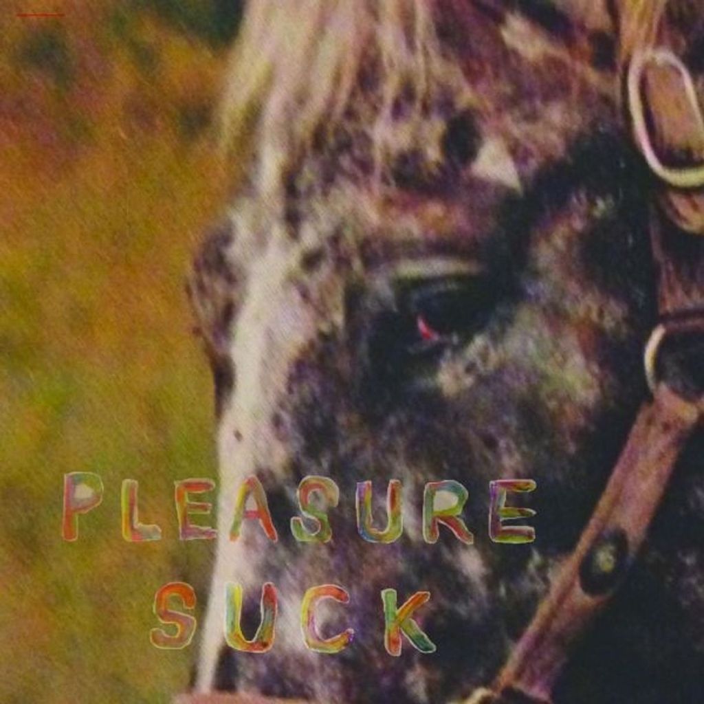 The Spirit Of The Beehive: The Spirit Of The Beehive: Pleasure Suck (Limited Edition) (Transparent Orange Vinyl) - - (LP / P)