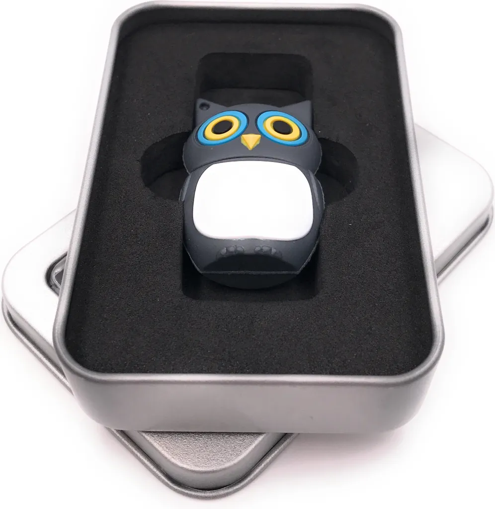 Regalo Originale USB: Onwomania Gufo 16GB in Elegante Box Alluminio