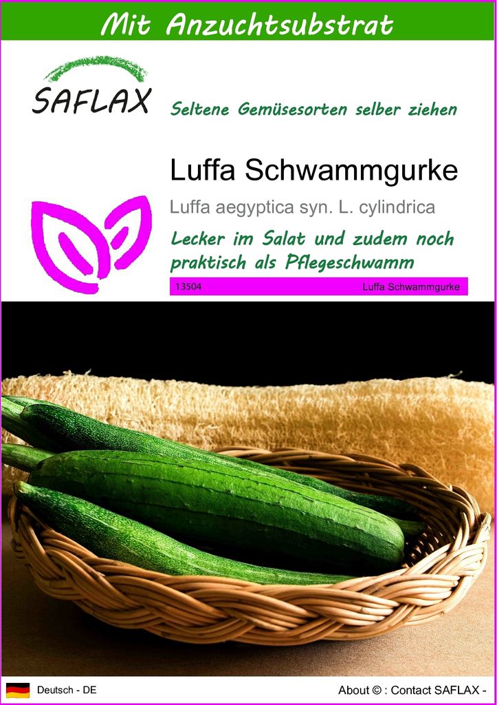 SAFLAX - Luffa Schwammgurke - Luffa aegyptica syn. L. Produktbild 