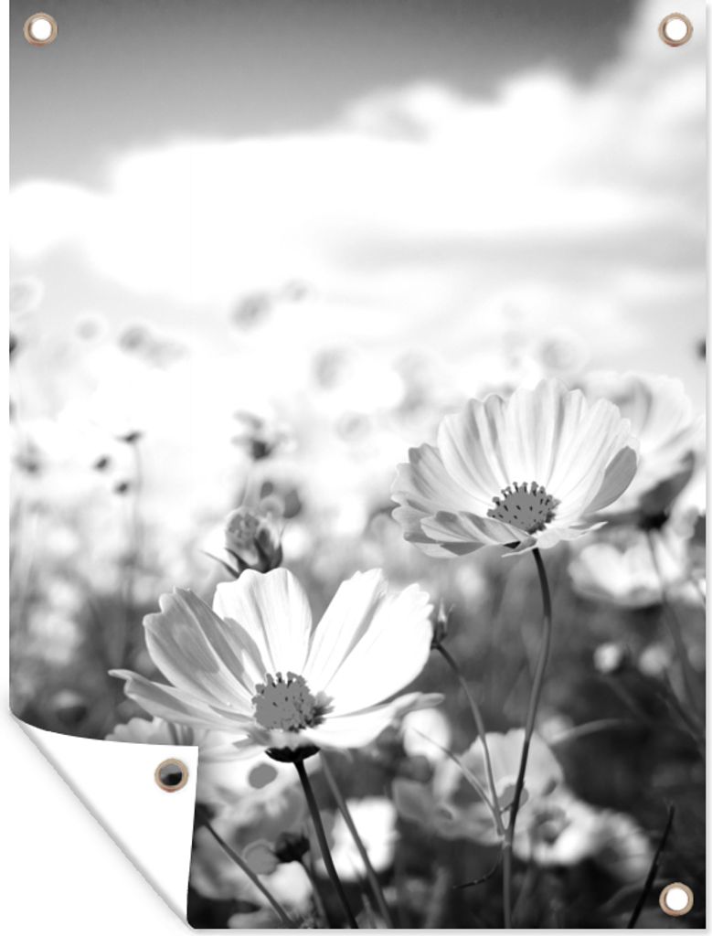 MuchoWow 30x40 cm Outdoor-Poster Gartendeko Sichtschutz Garten Poster für den Garten Blumen - Wiese - Lila - Gras - Weiß - Wolken - Blau