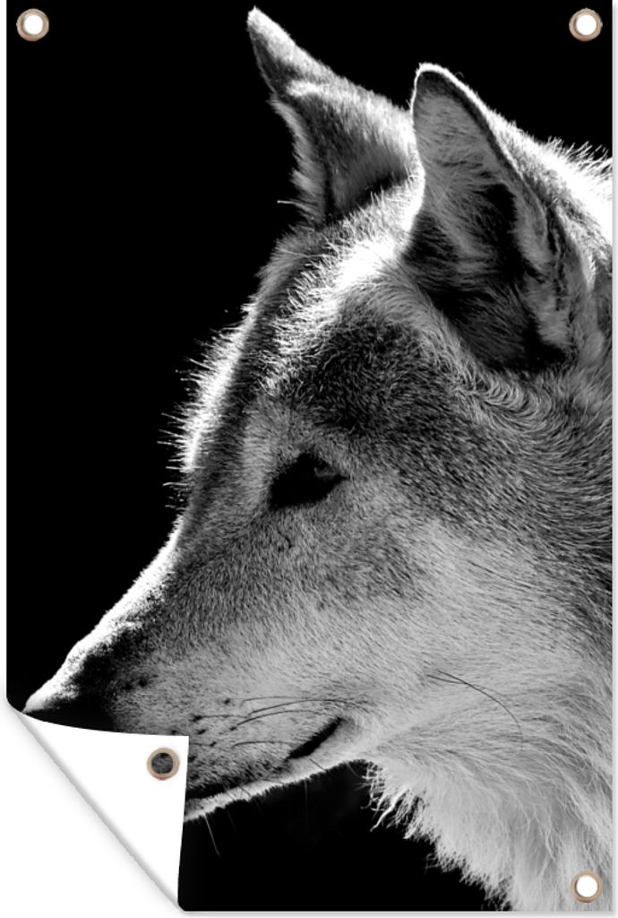 MuchoWow 40x60 cm Outdoor-Poster Gartendeko Sichtschutz Garten Poster für den Garten Wildlife - Wolf - Schwarz - Weiß