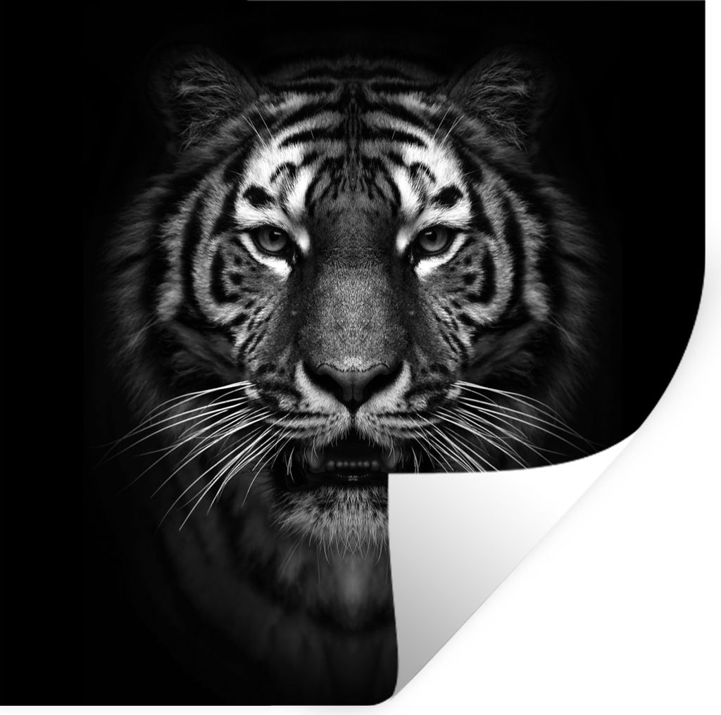 MuchoWow Wandtattoo Wandsticker Wandaufkleber Tiger - Tiere - Schwarz - Weiß - Porträt - Wild 80x80 cm Selbstklebend und Repositionierbar - Wie...