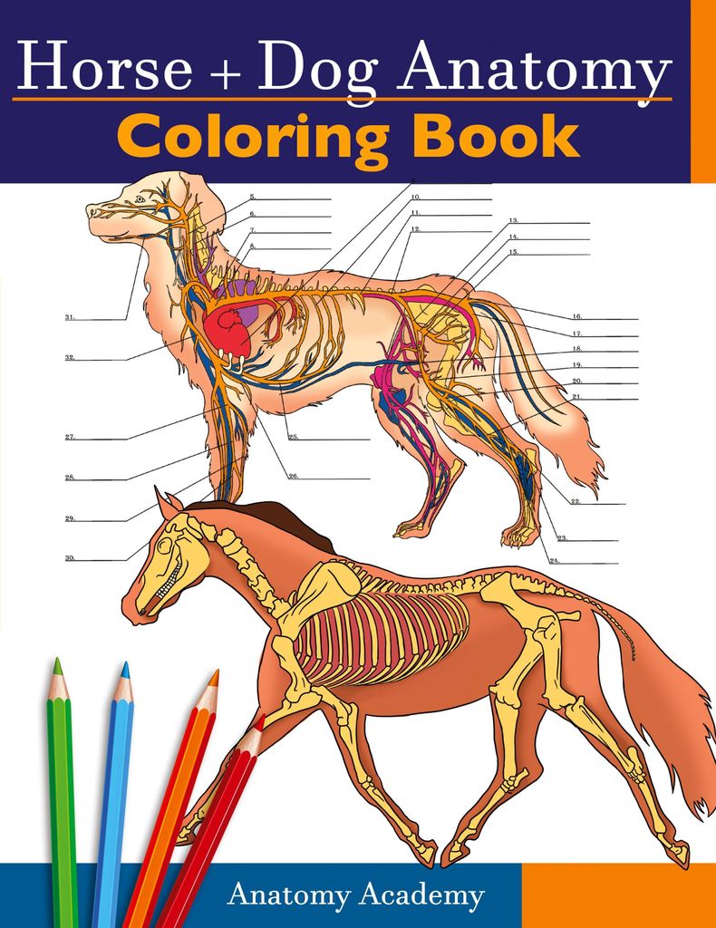 Horse + Dog Anatomy Coloring Book