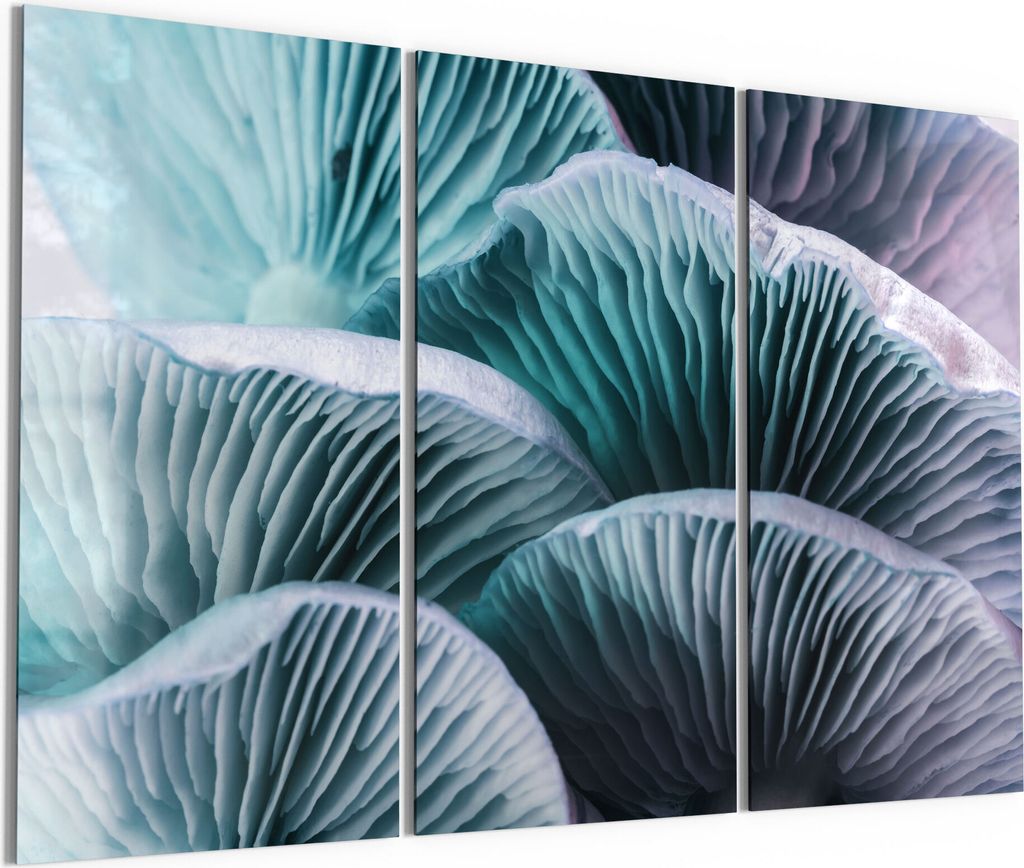 DEQORI Glasbild Echtglas 3x50x100 cm 'Leuchtende Pilzlamellen' Wandbilder XXL groß