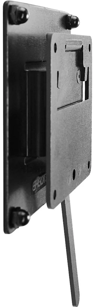 Support Écran Mural Fixe Ergotron FX30 pour Moniteur Lourd 13,6 kg Noir