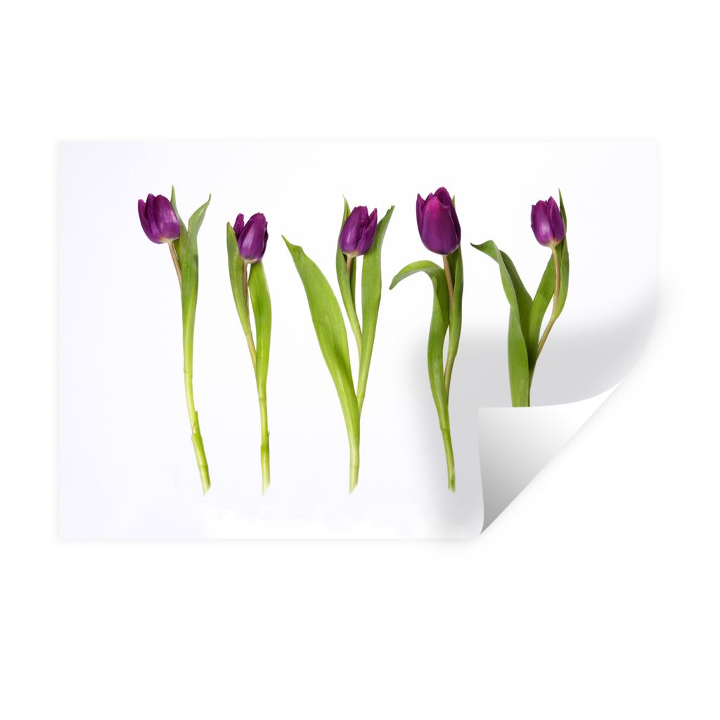 MuchoWow Wandtattoo Wandsticker Wandaufkleber Fünf Tulpen in einer Reihe 30x20 cm Selbstklebend und Repositionierbar - Wierderverwendbar - Selbs...