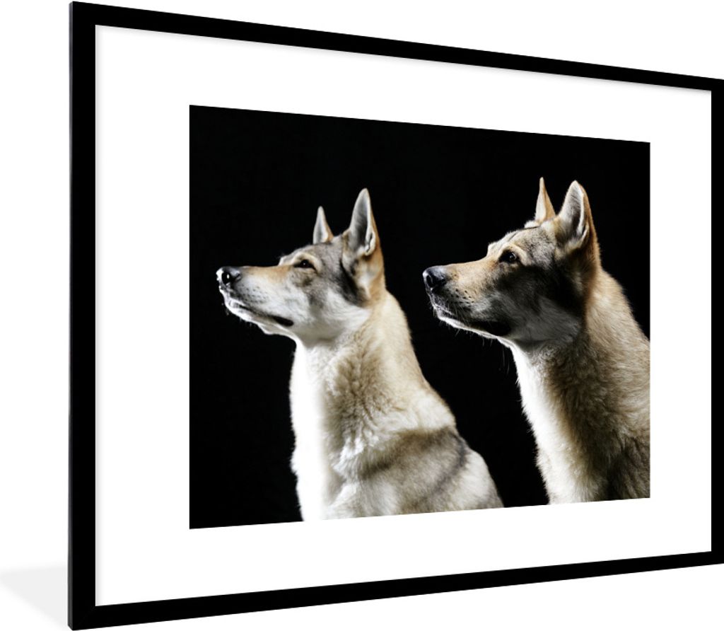 MuchoWow Gerahmtes Poster Seitenprofil von zwei Wölfen 80x60 cm - Poster mit Schwarzem Bilderrahmen Wandposter Rahmen Foto Bilder - Schlafzimmer...