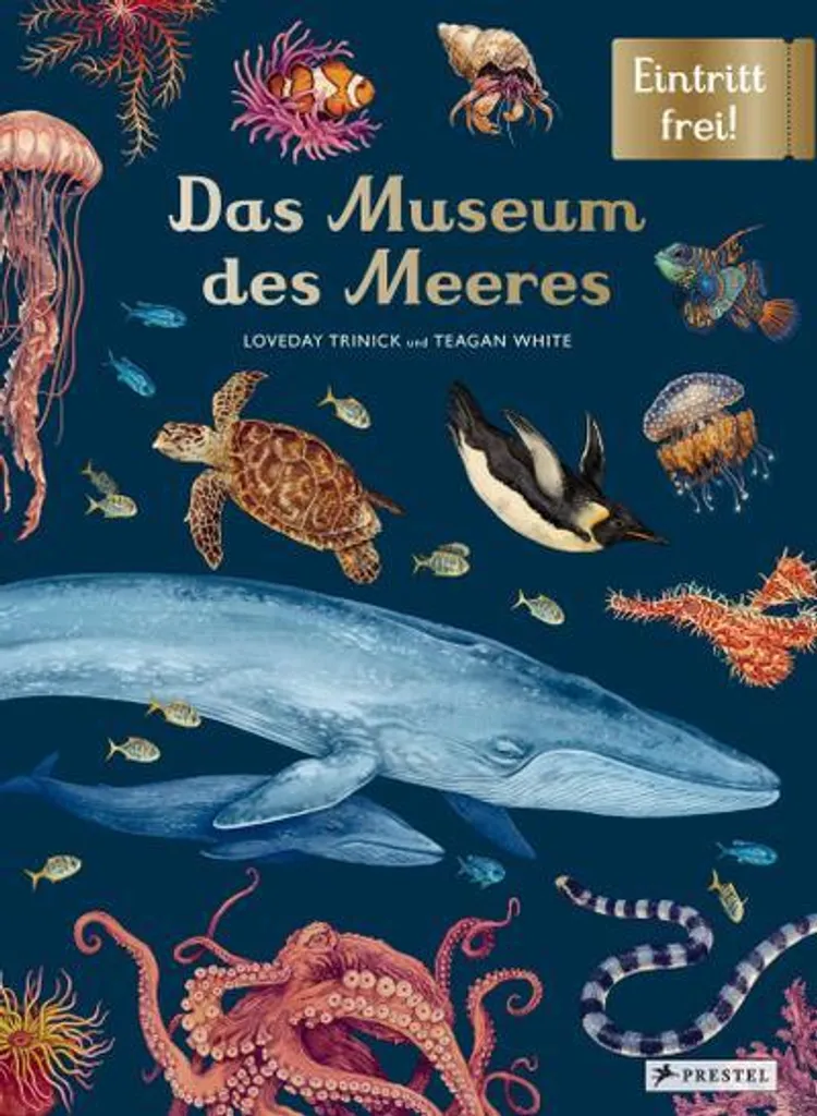 Livre Das Museum des Meeres - Album illustré océanographie pour enfant